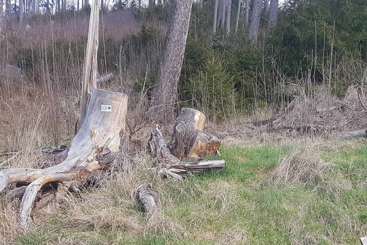 Der Wanderweg ist mit dem Schlangensymbol beschildert.