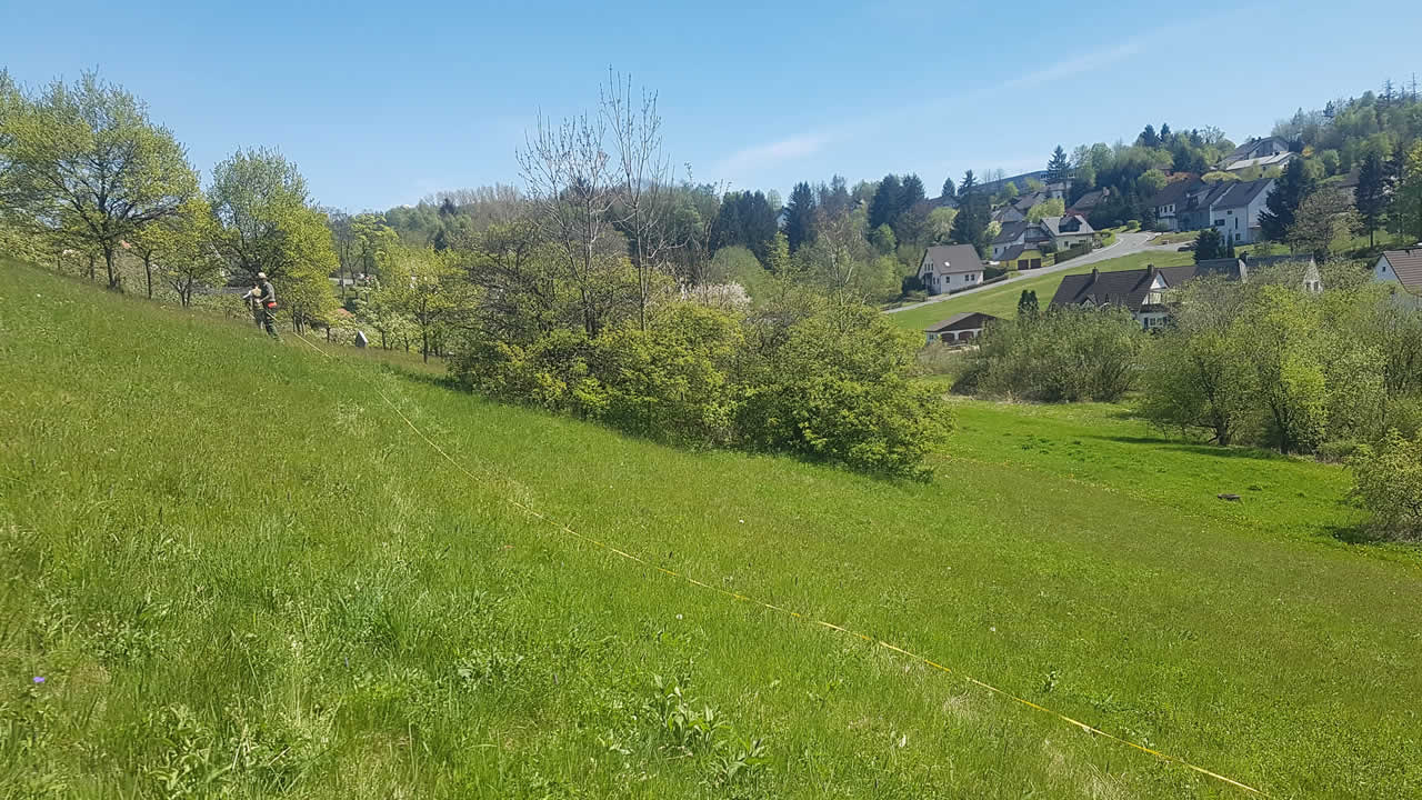 Eine der Untersuchungsflächen ist eine Bergmähwiese in Schwarzenbach am Wald.