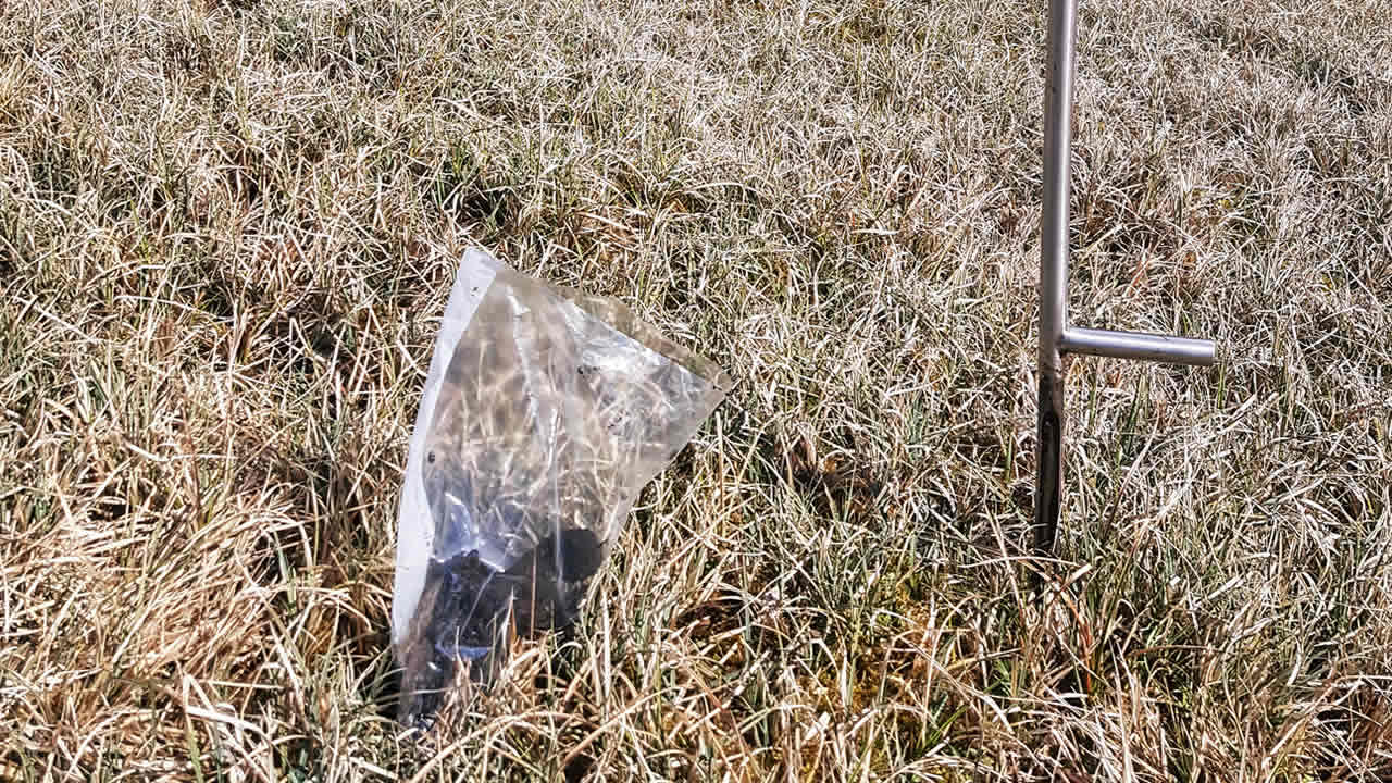 Auf den Untersuchungsflächen werden regelmäßig Bodenproben gezogen und der Nährstoffgehalt im Labor untersucht.