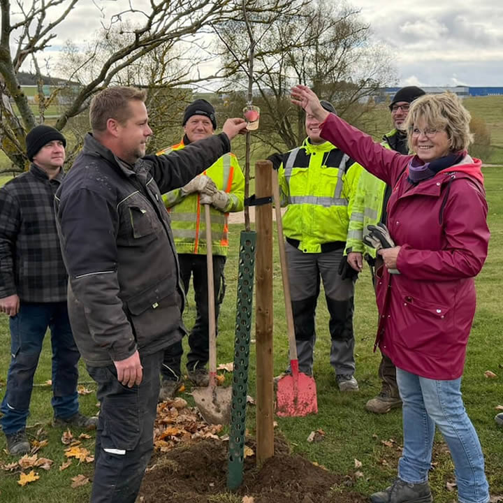 Pflanzung der Streuobstwiese