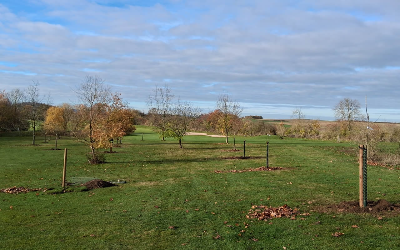 Die Bäume wurden auf fünf Teilflächen, verteilt über das gesamte Areal des Golfplatzes, gepflanzt.