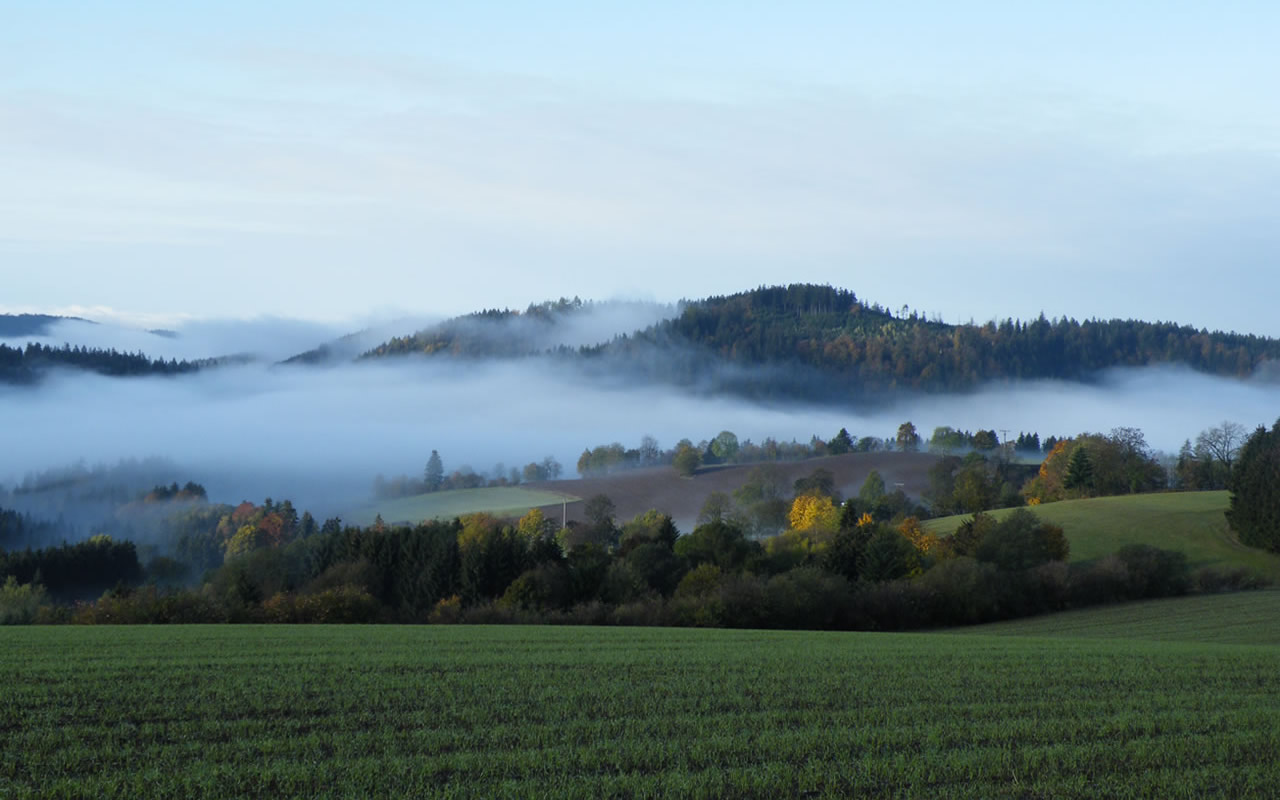 Warum überhaupt Landschaftspflege? Unsere Landschaft ist keine Naturlandschaft mehr, sondern eine Kulturlandschaft, die durch die jahrhundertelange Bewirtschaftung des Menschen geschaffen wurde. Die ehemalige extensive Nutzung von wenig ertragreichen Flächen, wie beispielsweise im Frankenwald, wurde in den vergangenen Jahrzehnten nach und nach aufgegeben. Dies führte zum Verbrachen vieler feuchter Talbereiche und typischer Frankenwald-Bergwiesen und damit zum Rückgang von Tier- und Pflanzenarten. Der Landschaftspflegeverband springt hier ein und kümmert sich um die Pflege.