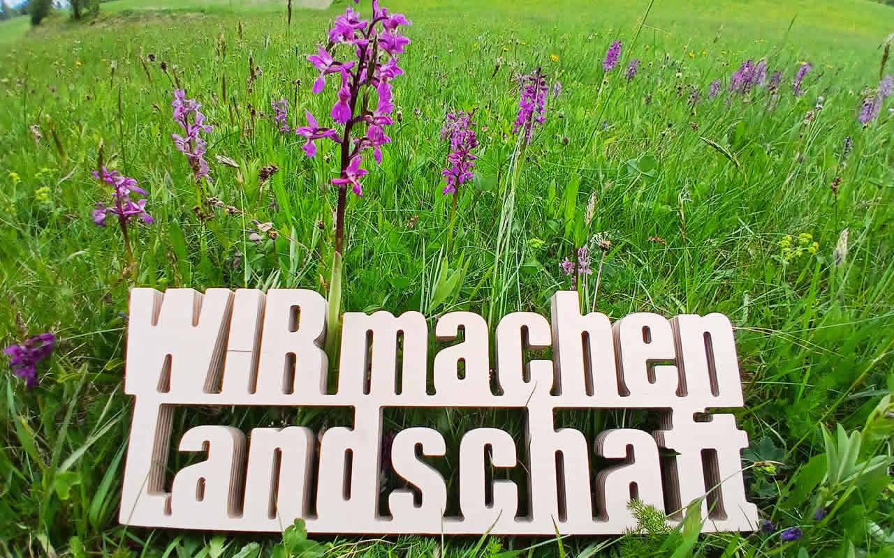 Die jährliche Mahd und der Abtransport des Mahdguts durch den Landschaftspflegeverband erhalten die wenigen Standorte des Stattlichen Knabenkrauts (Orchis mascula), einer seltenen, heimischen Orchideenart im Frankenwald.