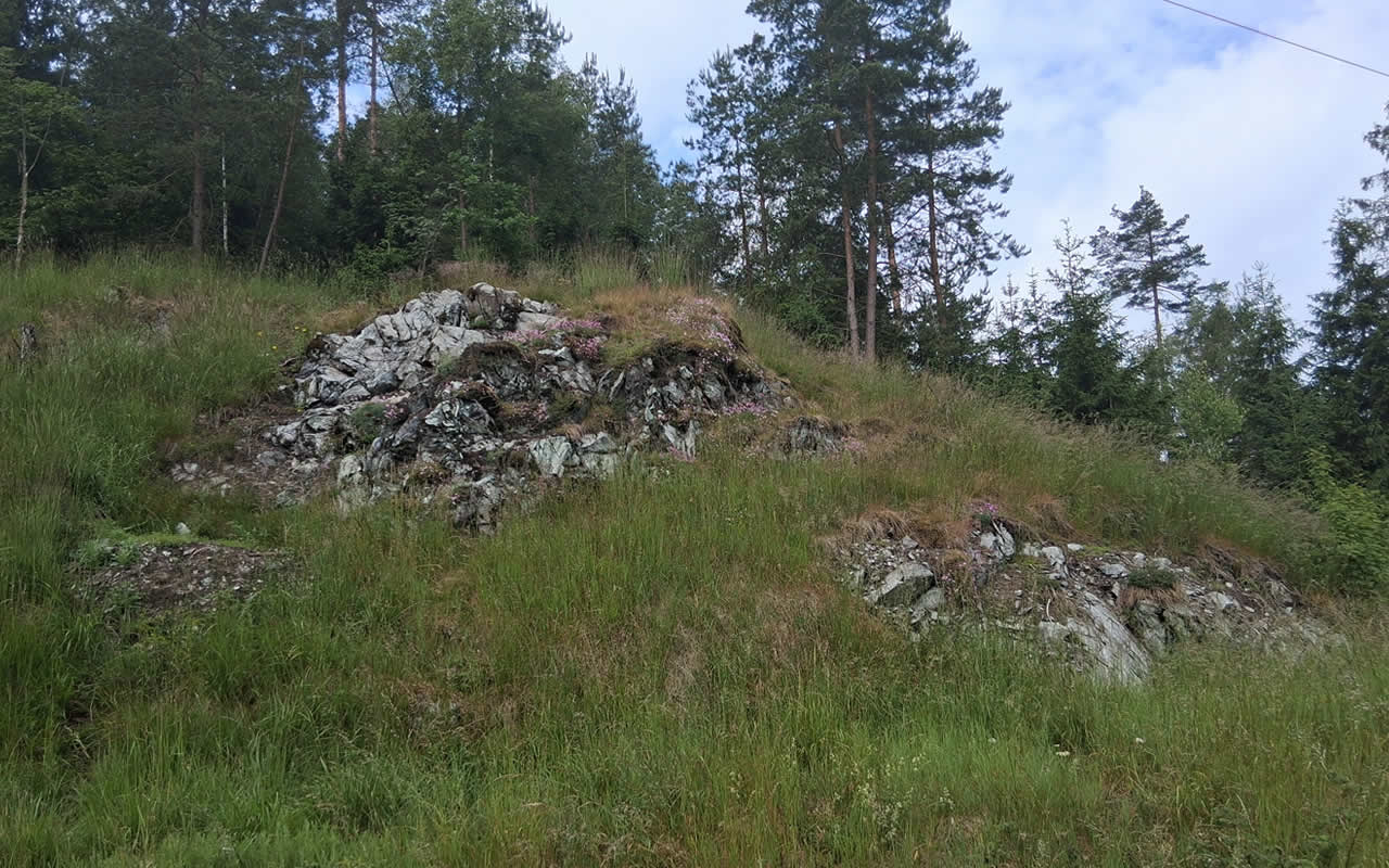 Freigelegter Serpentinit-Felsbereich